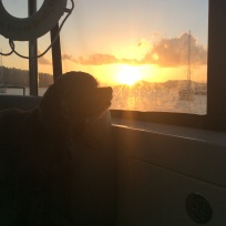 Patton enjoying the sunset from The Bight, Norman Island, B.V.I.