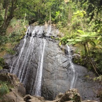 El Yunque Rain Forest, Puerto Rico