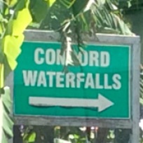 Concord Waterfalls
