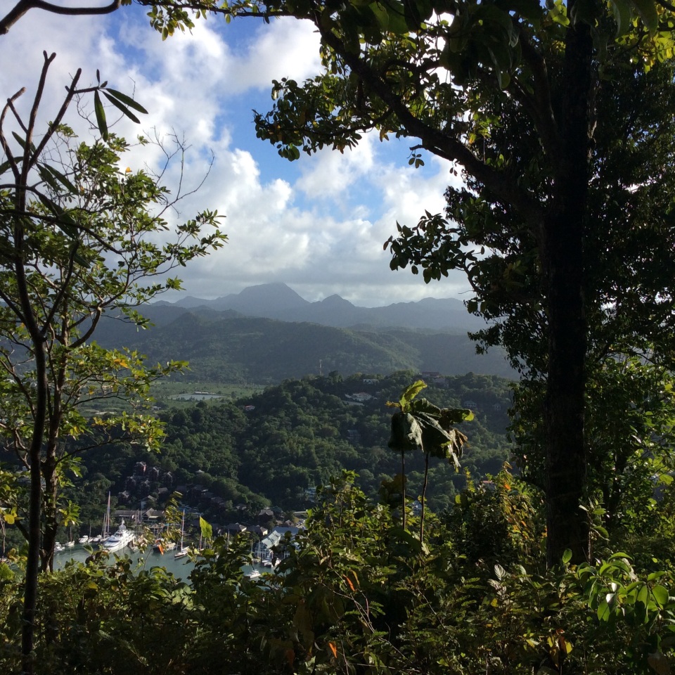 Ryan & Ronan on the Meditation Platform - The Views Were Worth the Climb, Marigot Bay Hike, St. Lucia