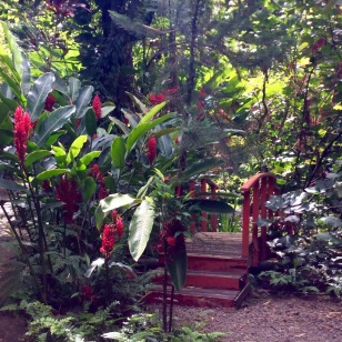 St. Lucia Botanical Gardens