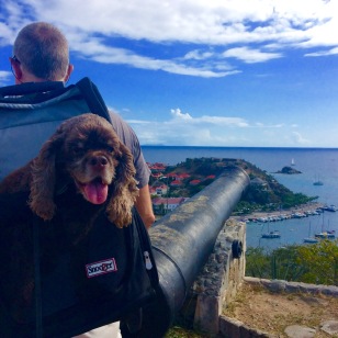 Patton enjoying touring the fort, Gustavia, St. Bart
