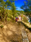 Gustavia hike, St. Bart