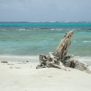 Baradal Island beach looking out towards the reef, Tobago Cays
