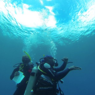 Mary & Dwight, safety stop, diving in St. Lucia