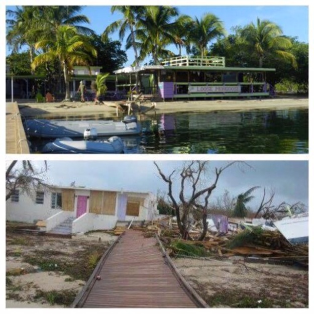DeLoose Mongoose, Trellis Bay, BVI (Before and After)