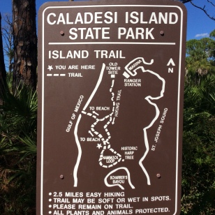 Nature trail hike, Caladesi Island State Park (Nov. 2019)